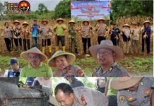 Panen Jagung Serentak Kuartal II, Wujud Komitmen Polres Bengkulu Utara untuk Ketahanan Pangan