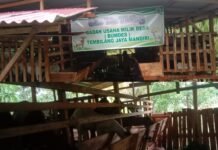 Dana BUMDes Rp196 Juta Diduga Jadi Bancakan, Pengadaan Kambing Tembilang Jaya Mandiri Disorot