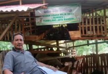 Pengadaan Kambing BUMDes Taba Tembilang Jadi Sorotan, Ketua Sebut Semua Atas Persetujuan PD dan PPL