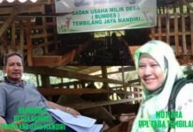 Rp128 Juta Anggaran BUMDes Taba Tembilang Diduga Mubazir, BOP PPL dan Pendamping Desa Ikut Disorot